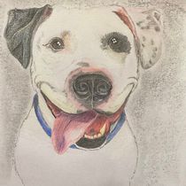 Work in progress . Un proyecto de Dibujo artístico, Dibujo, Bellas Artes, Dibujo a lápiz y Dibujo realista de Heike Barthel - 29.06.2025