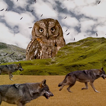 Cabecera WILD POWER Ein Projekt aus dem Bereich Animation, 2-D-Animation, Collage und Videobearbeitung von x xxx - 30.06.2025