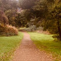A late-autumn park walk. Documentar, Photograph, Mobile Photograph, Outdoor Photograph, and Photograph project by Rebecca Ferris - 07.01.2025