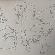 Soro. Drawing, Figure Drawing, Pencil Drawing, Portrait Drawing, Sketchbook, and Sketching project by Çiğdem nur Turhan - 07.01.2025