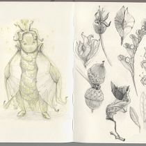 whimsical creatures. Un progetto di Disegno, Illustrazione naturalistica, Disegno a matita, Sketchbook e Pittura ad acquerello di elliot_13 - 02.07.2025