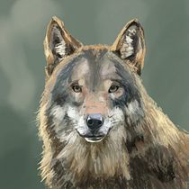 Lobo . Ilustração digital e Ilustração tradicional projeto de Boris Torres - 03.07.2025