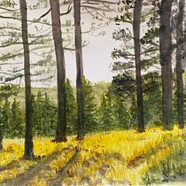 Bosco . Painting, and Watercolor Painting project by bvunild - 07.03.2025