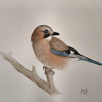 Kingfisher, jay and great tit. Un proyecto de Dibujo realista, Ilustración tradicional, Pintura a la acuarela e Ilustración naturalista				 de Juliane Wünsche - 05.07.2025