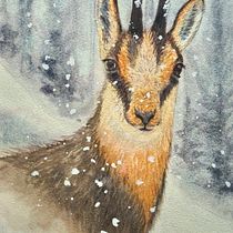 Chamois. Un proyecto de Dibujo realista, Ilustración tradicional, Ilustración naturalista				 y Pintura a la acuarela de jutta_loeffler - 05.07.2025