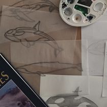Proyecto final - Ilustración Ballenas con Acuarelas. Ilustração naturalista, Pintura, Pintura em aquarela, e Artes plásticas projeto de Daniel Pinchete Nebreda - 18.07.2025