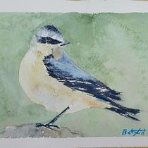 Pájaros en su entorno. Un proyecto de Ilustración tradicional, Ilustración naturalista				 y Pintura a la acuarela de Beatriz Fid - 19.07.2025