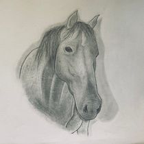 Horse. Projekt z dziedziny  R, sunek,  Sztuki piękne, Ilustracja naturalist, czna, R, sunek ołówkiem, R, sunek realist i czn użytkownika monkeybususa - 21.07.2025