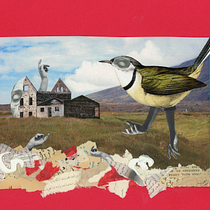 Violated Dreams. Un proyecto de Collage, Narrativa, Stor, telling, DIY, Artesanía, Fotografía, Diseño de personajes, Instagram, Tipografía, Animación de personajes, Dibujo anatómico y Arteterapia de Narges Valibeigi - 24.07.2025