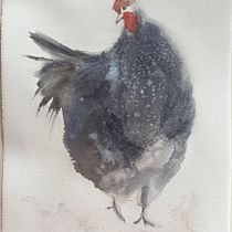 Retratos expresivos de animales en acuarela. Un proyecto de Dibujo realista, Ilustración tradicional, Ilustración naturalista				 y Pintura a la acuarela de Beatriz Fid - 25.07.2025