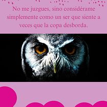 No debemos ser jueces ni testigo de la violencia . Br, ing, Identit, Design, Logo Design, Graphic Design, T, pograph, Design, T, and pograph project by daniderpichgonzalez - 07.25.2025