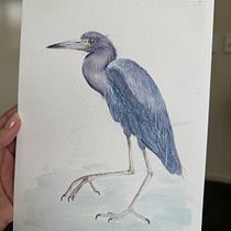 De boa na lagoa. Realistic Drawing, Traditional illustration, Watercolor Painting, and Naturalistic Illustration project by Viviane Filgueiras - 07.26.2025