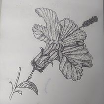 flor de ibiscus. Tattoo Design project by Lessli Amanda Cuevas Valdebenito - 07.27.2025