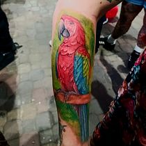 Lapa roja. Un progetto di Disegno digitale, Illustrazione digitale, Disegno, Illustrazione tradizionale e Design di tatuaggi di ronaldleitonmorales - 29.07.2025