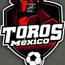 Redes sociales Toros México  Ein Projekt aus dem Bereich Business, Kreative Beratung, Designverwaltung, Management, Produktivität, Künstliche Intelligenz und ChatGPT von Eduardo Sean Arteaga Rocha - 30.07.2025