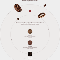 Diseño de landing page Ein Projekt aus dem Bereich UX / UI und Webdesign von Stefano Marsetti - 30.07.2025