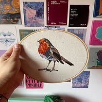 Petirrojo bordado. Embroider, Textile Design, Arts, Crafts, and DIY project by Javiera Fuenzalida Carvallo - 08.01.2025