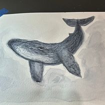 Baleia jubarte em aquarela  Ein Projekt aus dem Bereich Naturalistische Illustration, Malerei, Aquarellmalerei und Bildende Künste von vii09duarte - 02.08.2025