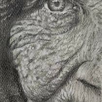 Lo que guarda el tiempo . Realistic Drawing, Drawing, and Pencil Drawing project by Mariela Ambrosis - 08.04.2025