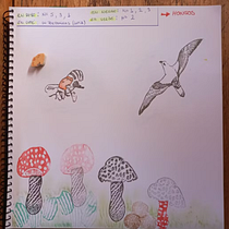 Hongos de la costa. Printing, and Engraving project by cm_maram - 08.06.2025