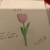 Tulipán . Fine Arts, Drawing, Traditional illustration, Painting, Watercolor Painting, and Botanical Illustration project by evaisabelaveraherrera - 08.07.2025