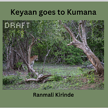Children's Picture Book. Picturebook, Outdoor Photograph, and Children's Literature project by Ranmali Kirinde - 08.09.2025