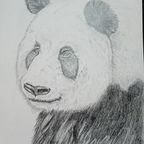 Proyecto Eduardo . Un progetto di Disegno, Illustrazione tradizionale, Illustrazione naturalistica e Disegno a matita di Eduardo Sánchez Ferreira - 12.08.2025