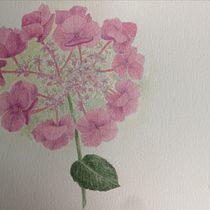 Hortensia. Fine Arts, Painting, and Watercolor Painting project by Nathalie Houard - 08.14.2025
