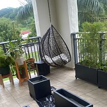Renovando y embelleciendo un balcón con plantas. Floral, Plant Design, L, scape Architecture, and Spatial Design project by Jennifer Horni Rodríguez - 08.14.2025