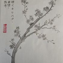 Flores de almendro. Traditional illustration, Drawing & Ink Illustration project by inmuju - 08.15.2025