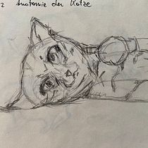 meine Lieblingstiere. Un proyecto de Diseño de personajes, Ilustración infantil, Dibujo y Dibujo a lápiz de andreanora - 19.08.2025