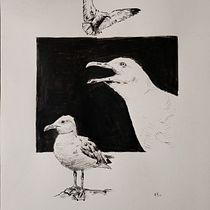 Goélands à l'encre de chine Ein Projekt aus dem Bereich Zeichnung, Illustration mit Tinte, Naturalistische Illustration und Skizzenentwurf von flold - 20.08.2025