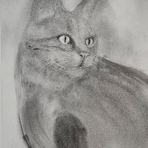 Kitty. Een project van  Tekening,  Beeldende kunst,  Portrettekening y Naturalistische illustratie van Hughena Anstey - 22.08.2025