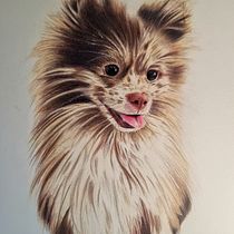 Claus Ein Projekt aus dem Bereich Traditionelle Illustration und Naturalistische Illustration von Ana Ng - 22.08.2025