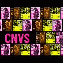 CNVS Project Ein Projekt aus dem Bereich Br, ing und Identität, Farbenlehre, Design, Designverwaltung, Digitales Design, Verlagsdesign, Grafikdesign, Logodesign, T, pografie, T und pografisches Design von ckanvass - 28.08.2025