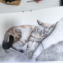 Gato, lápiz y acuarela . Un proyecto de Ilustración tradicional, Pintura a la acuarela, Bellas Artes e Ilustración naturalista				 de Virginia Rojas Núñez-Arenas - 03.09.2025