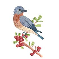 Gouache illustrations Ein Projekt aus dem Bereich Kreativität, Zeichnung, Gouachemalerei, Traditionelle Illustration, Sketchbook, Skizzenentwurf, Aquarellmalerei, H, werk, Kinderillustration und Botanische Illustration von Eliška Žáková - 05.09.2025