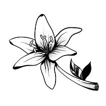 Lirio Blackwork. Tattoo Design, and Digital Illustration project by George A. Balica - 09.09.2025