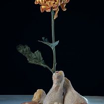 Chicken and Flower still life Ein Projekt aus dem Bereich Artistische Fotografie, Gastronomiefotografie und Produktfotografie von Joshua Weiner - 14.09.2025