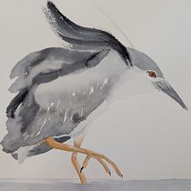 Martinete común. Traditional illustration, Naturalistic Illustration, and Watercolor Painting project by juakicc_84 - 09.14.2025