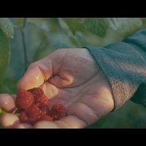Color Grading. Projekt z dziedziny Postprodukcja audio-wideo i  Korekta barw użytkownika Luane Palhares - 17.09.2025