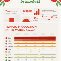 Tomatoes in numbers. Infografia, e Design de informação projeto de katranoo - 17.09.2025