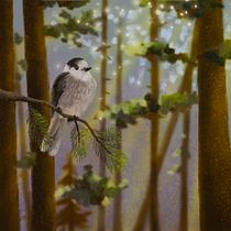 Grey Jay in a Lodgepole Pine Forest. Un projet de Illustration numérique de Melissa H-ma - 21.09.2025