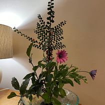 Changing Seasons in an English Cottage Garden. Decoração de interiores, Design floral e vegetal, Interiores, e Design de interiores projeto de Charlotte Booth - 25.09.2025