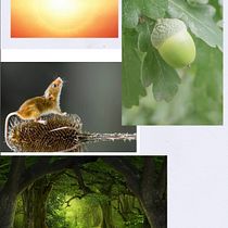 A Gruffalo quote with fairy tale illustration. . % Cher Cowan tarafından hazırlanan Kaligrafi, Dijital Harflendirme, Grafik Tasarım, Harfler, Tipografi, Tipografi Tasarımı, Çizim, Tasarım, Ve Dijital Pazarlama projesi - 10.01.2025