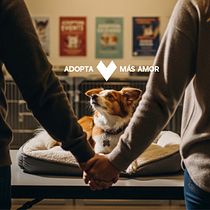 ADOPTA MÁS AMOR. Un progetto di Consulenza creativa, Marketing, Pubblicità e Creatività di Piero Renato Zuñiga Nole - 02.10.2025