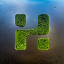 Hill Network. Br, ing, Identit, Design, Logo Design, and Graphic Design project by Gabriel Pereira - 10.05.2025