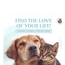 "Happy paws". Artificial Intelligence, AI Content Creation, Content Marketing, Content Writing, and Social Media project by Natasha Carolina Loor Carrera - 10.07.2025