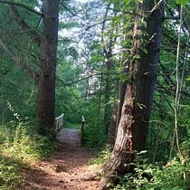 Landscape painting in oil. Fine Arts, Oil Painting, and Painting project by sparklep - 10.07.2025