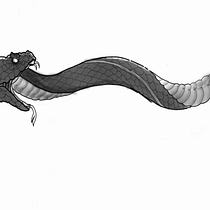 Gargantilla de serpiente . Digital Drawing, Digital Illustration, Drawing, Traditional illustration, and Tattoo Design project by Daigo - 10.09.2025